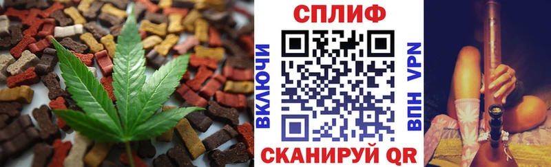 omg ТОР Новозыбков даркнет состав Еда ТГК конопля