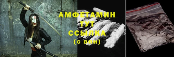 шишки Мегион