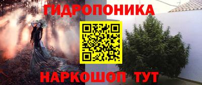 прущие крисы Будённовск