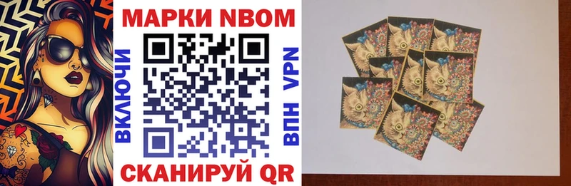 Марки 25I-NBOMe 1,8мг как найти наркотики Новозыбков