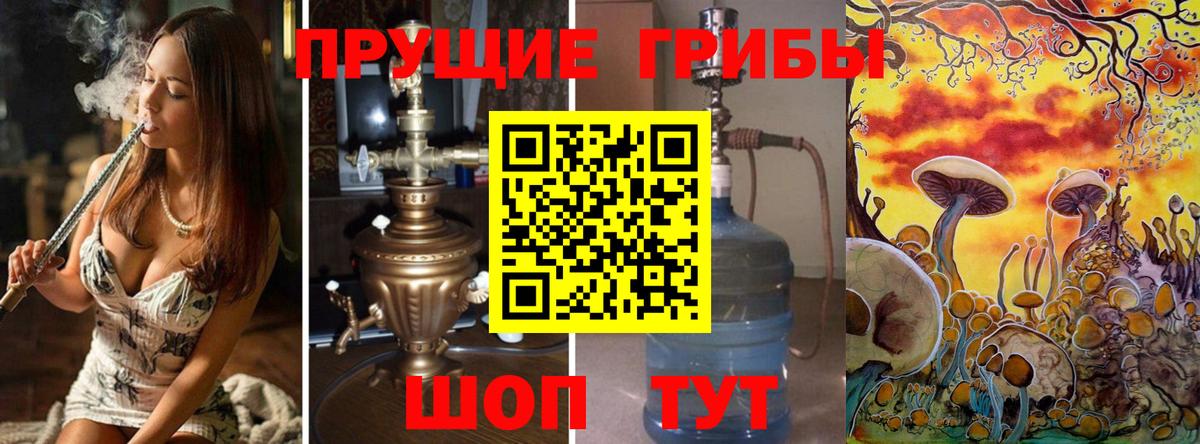 Новозыбков  Псилоцибиновые грибы мицелий  Вход с VPN  Галлюциногенные грибы ЛСД 